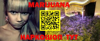 мдпв Славгород