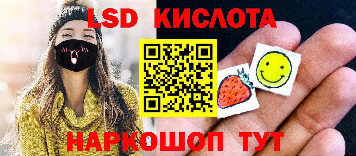 Галлюциногенные грибы Новосибирск