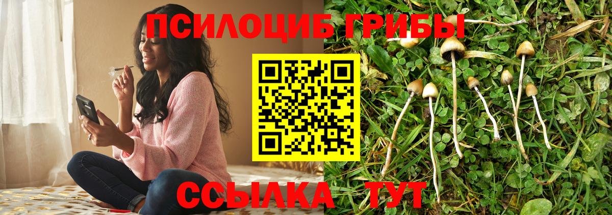 Псилоцибиновые грибы GOLDEN TEACHER  Вход с VPN  где найти наркотики  Новосибирск 