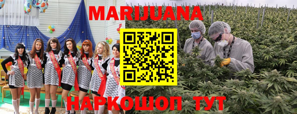 Канабис Bruce Banner Новосибирск